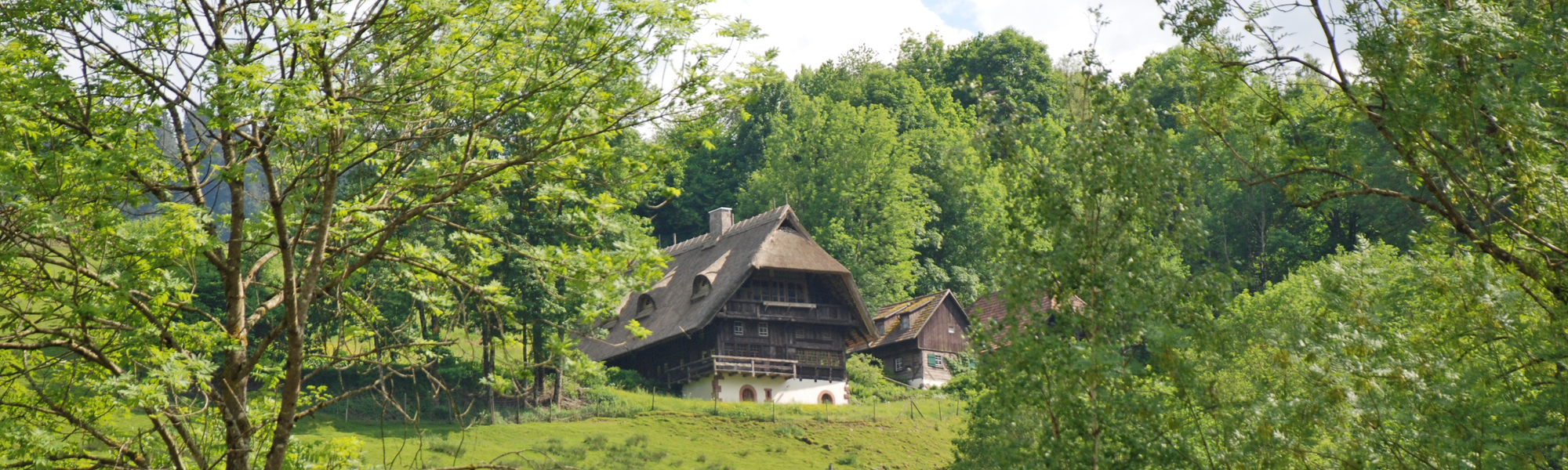 Faisst Kirnbach