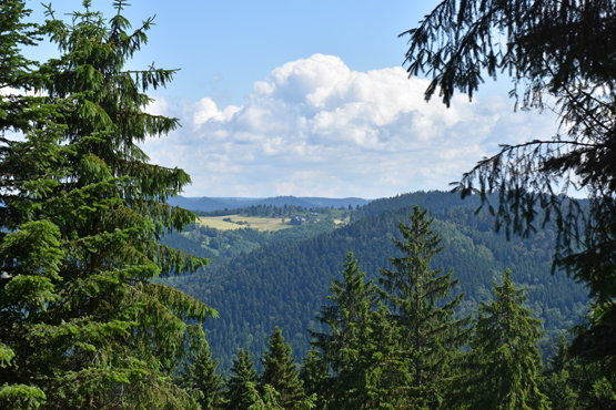 Ausbilck in Kirnbach